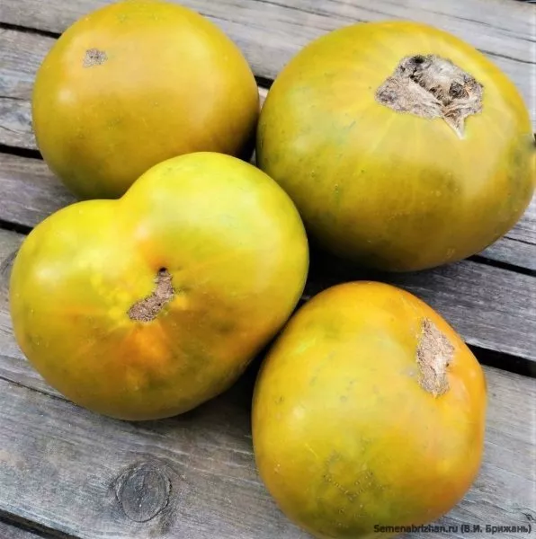 limonnye-polosy-cherroki-6-138272