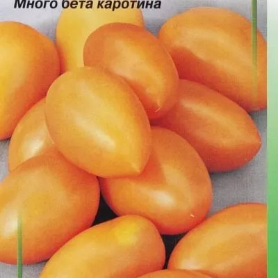 luch-oranzhevyy-4-165057