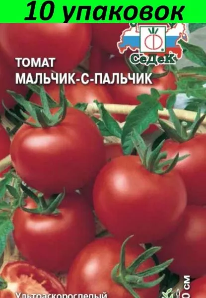 malchik-s-palchik-1-148854