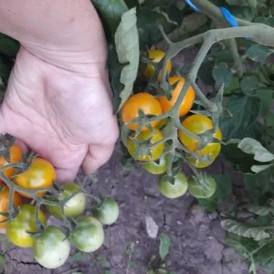 malchik-s-palchik-2-148854