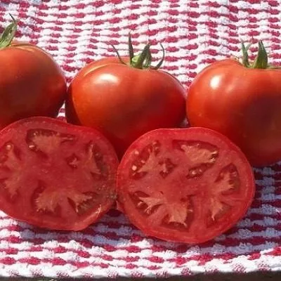 malchik-s-palchik-4-148854