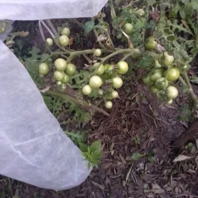 malchik-s-palchik-6-148854