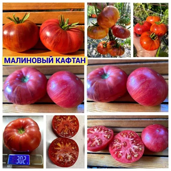 malinovyy-kaftan-3-155748