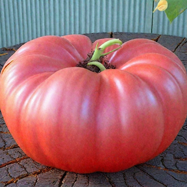 malinovyy-kaftan-6-155748