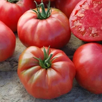 malinovyy-korol-8-151487