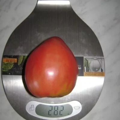 malinovyy-rassvet-10-168685