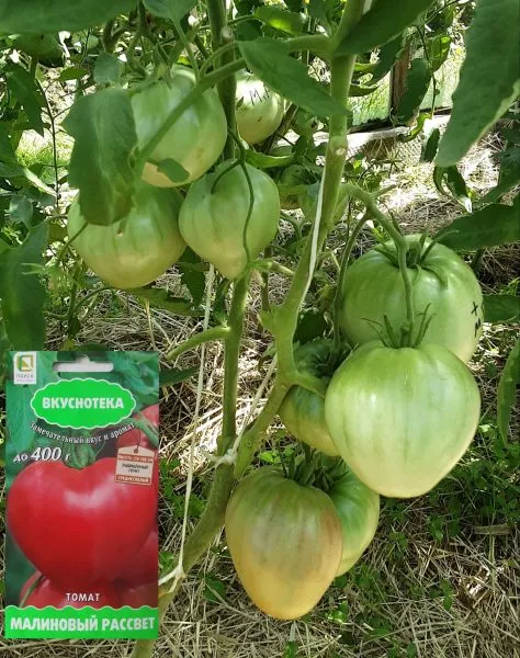 malinovyy-rassvet-5-168685