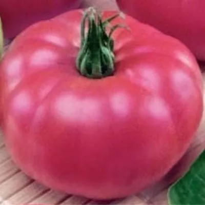 malinovyy-velikan-4-143195