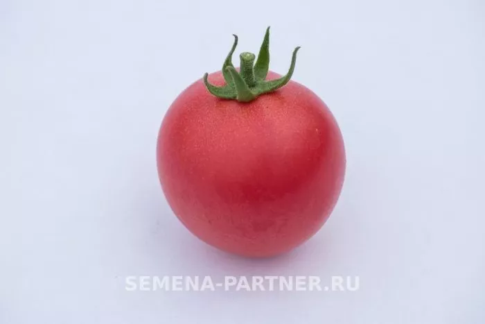 malinovyy-zemledelets-6-150627