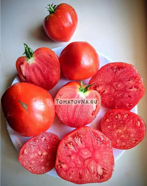 malkolm-linkoln-10-155486