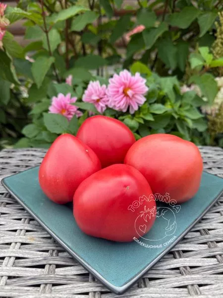 mamino-serdtse-2-148493