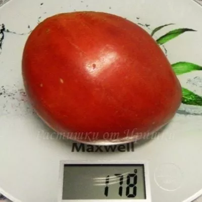 mamino-serdtse-5-148493