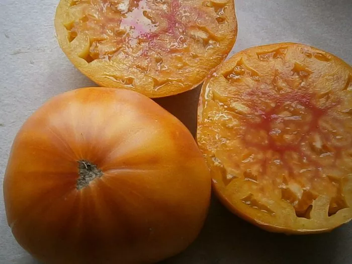 mamont-nemetskiy-zolotoy-2-142443