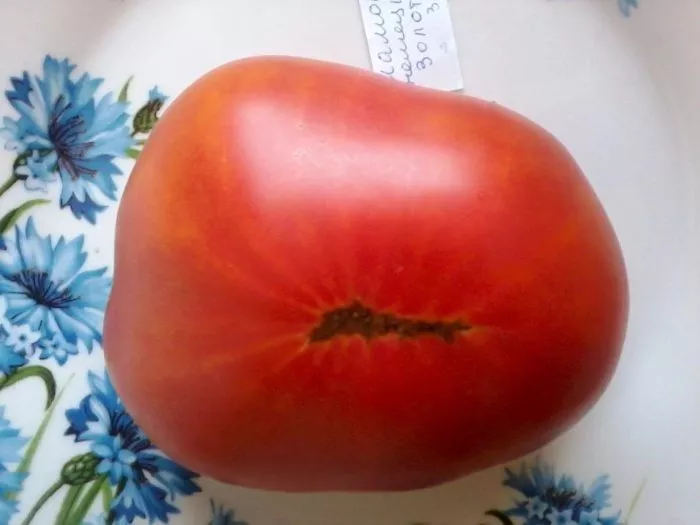 mamont-nemetskiy-zolotoy-6-142443