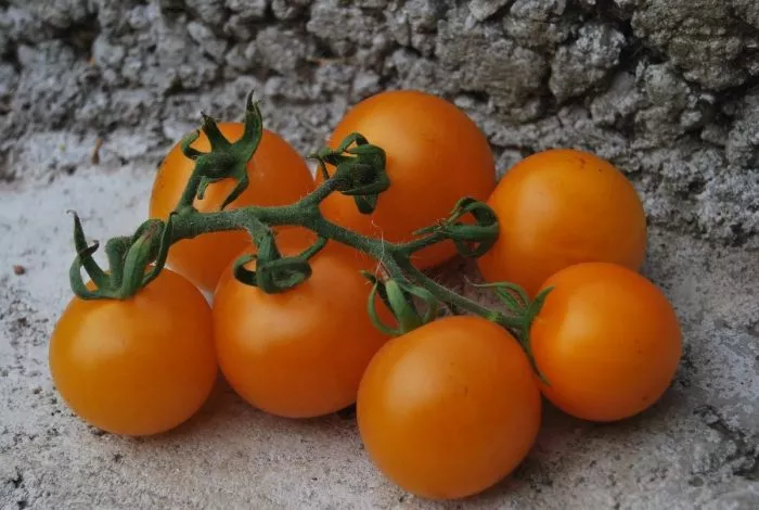 mandarinka-main-165043