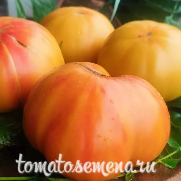 marvel-strayp-3-141234