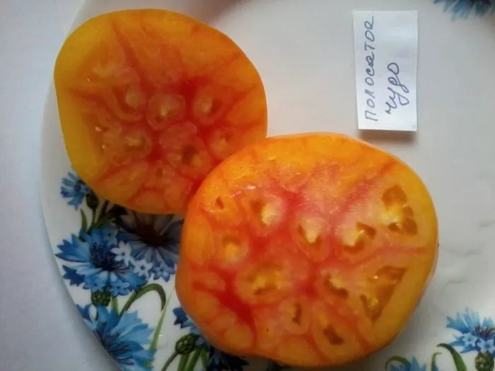 marvel-strayp-6-141234