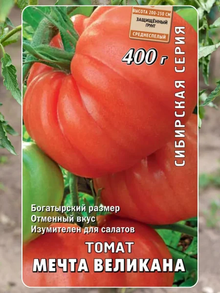 mechta-velikana-5-152708