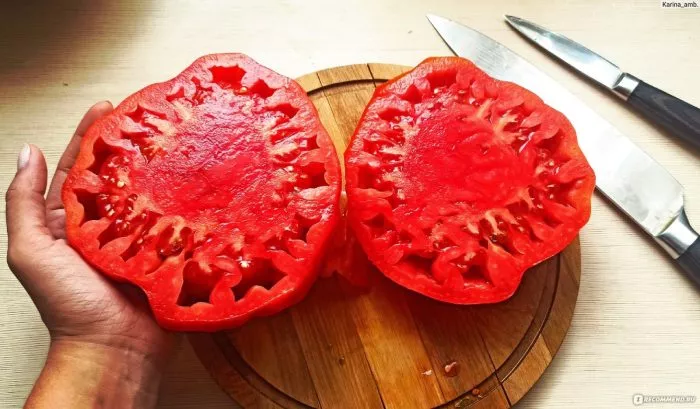 mechta-velikana-7-152708