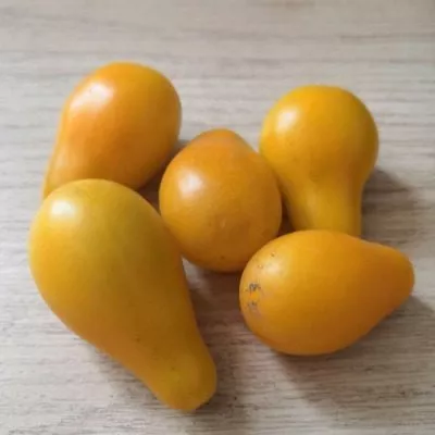 medovyy-kaskad-4-131938