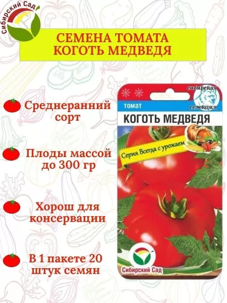 medvezhiy-kogot-4-166758