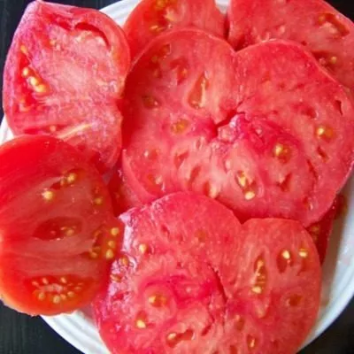 medvezhiy-kogot-9-166758