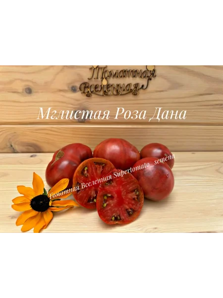 mglistaya-roza-dana-4-168261