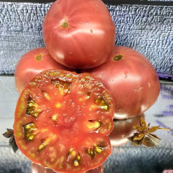 mglistaya-roza-dana-6-168261