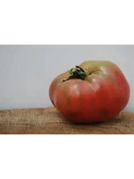 mglistaya-roza-dana-7-168261