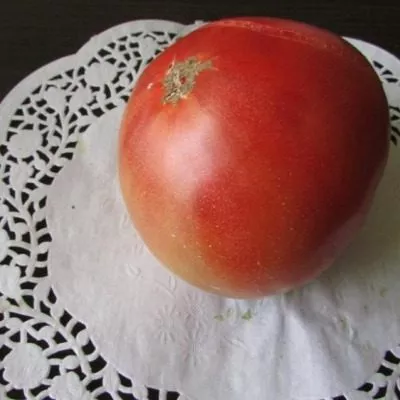 mglistaya-roza-dana-8-168261