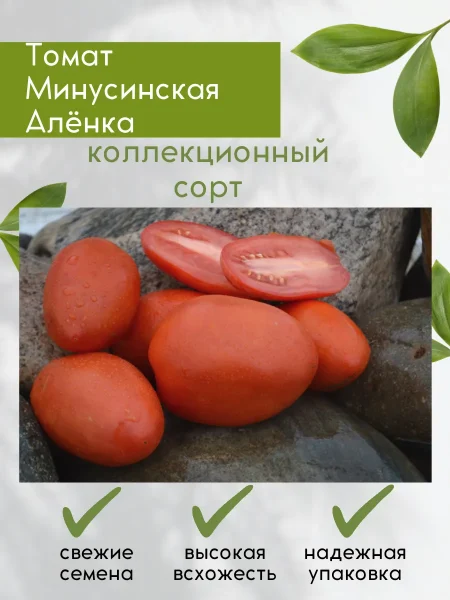 minusinskaya-alyonka-3-152598