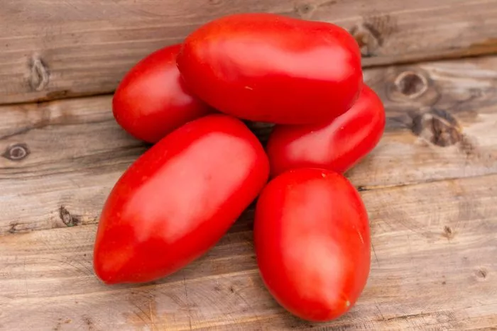 minusinskaya-alyonka-main-152598