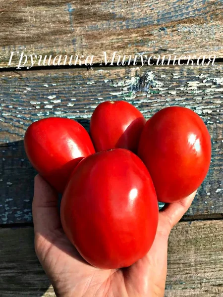 minusinskaya-grushanka-2-165923