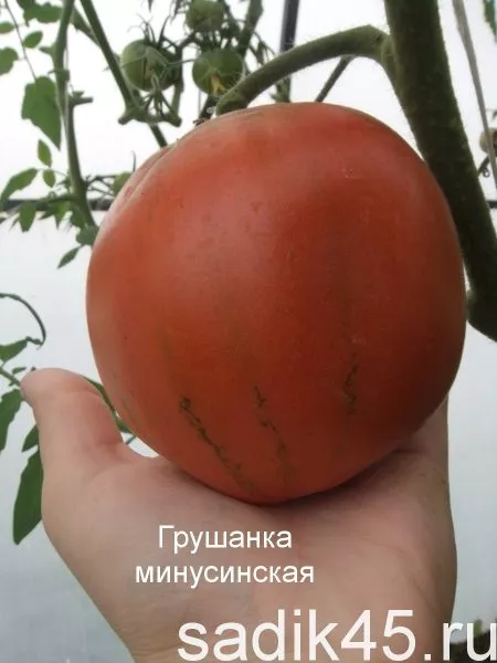 minusinskaya-grushanka-4-165923