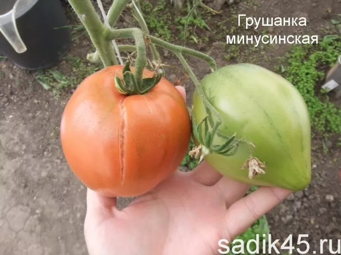 minusinskaya-grushanka-6-165923