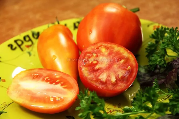 minusinskaya-grushanka-7-165923