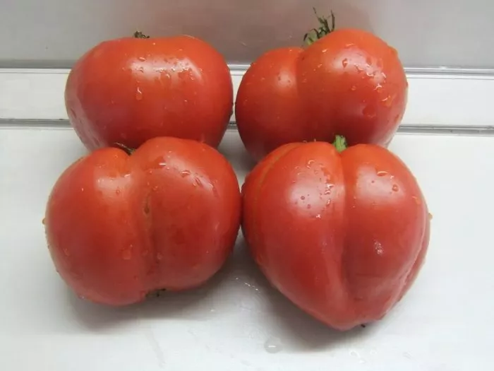 minusinskaya-grushanka-8-165923