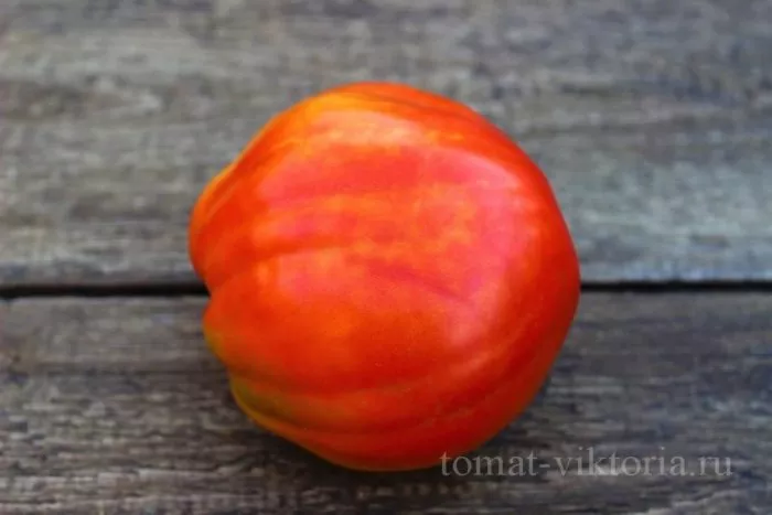 minusinskaya-ogromnaya-sliva-4-151495