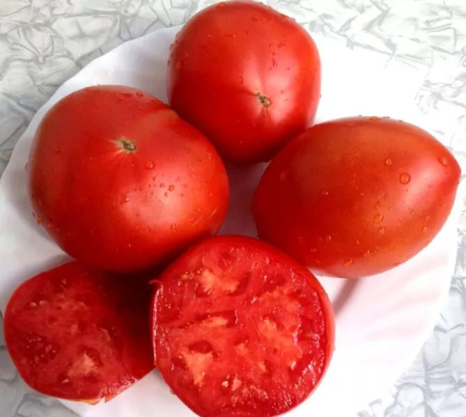 minusinskaya-ogromnaya-sliva-7-151495