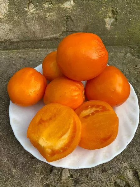 minusinskie-stakany-oranzhevye-11-165965