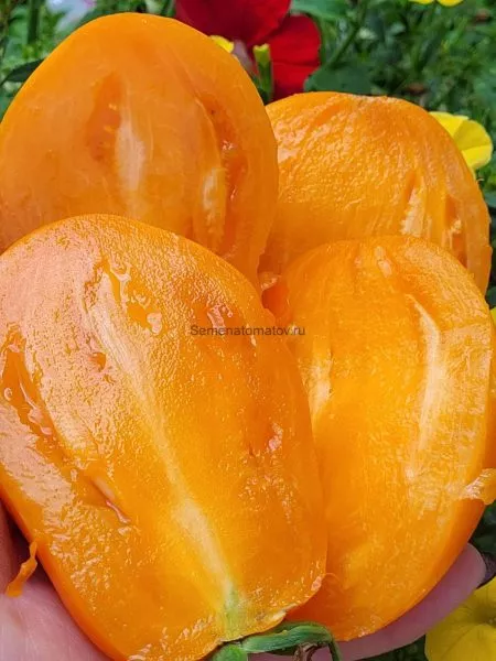 minusinskie-stakany-oranzhevye-7-165965