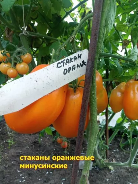 minusinskie-stakany-oranzhevye-8-165965