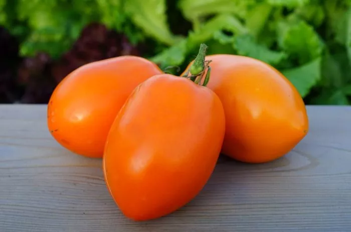 minusinskie-stakany-oranzhevye-main-165965