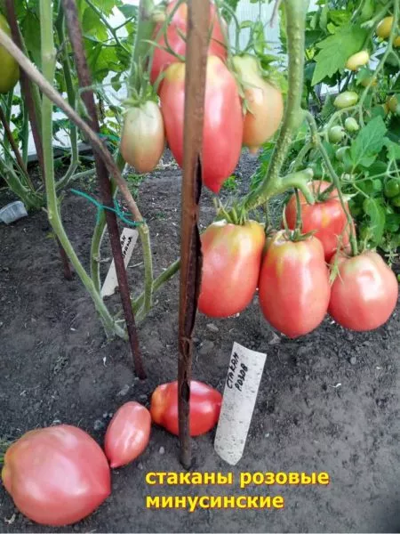 minusinskie-stakany-rozovye-1-150501