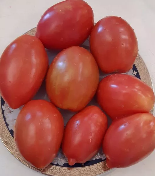 minusinskie-stakany-rozovye-4-150501