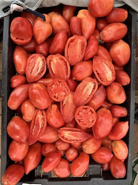 minusinskie-stakany-rozovye-7-150501