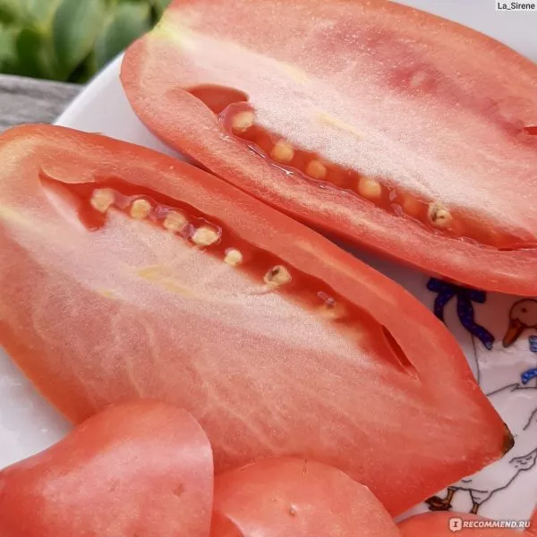 minusinskie-stakany-rozovye-8-150501