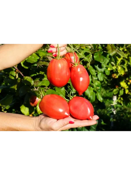 minusinskie-stakany-rozovye-main-150501