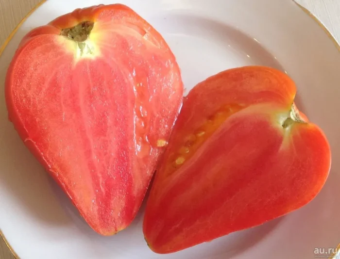 minusinskiy-domashniy-2-168410