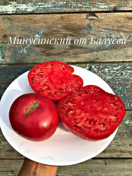 minusinskiy-ot-balueva-main-152390